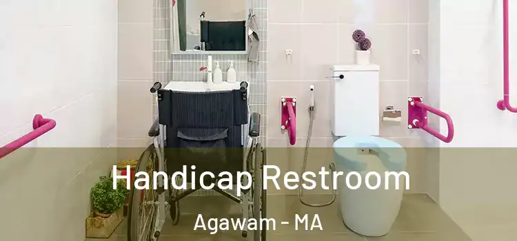Handicap Restroom Agawam - MA