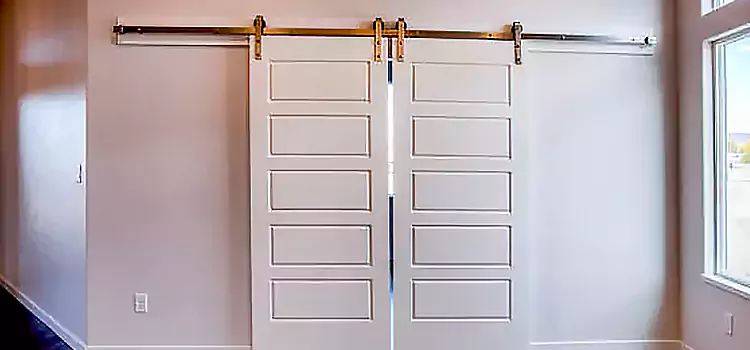 Glass Barn Door with Installation Hardware Kit Agawam